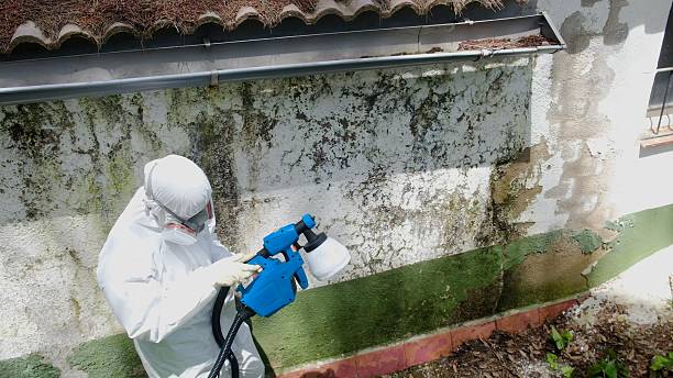 Mold Remediation service in Ashburn, Ashburn, VA
